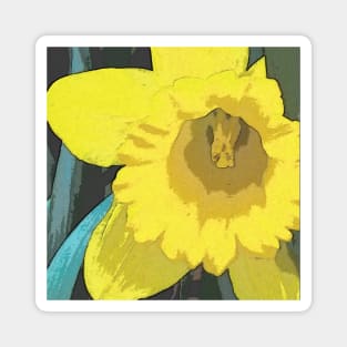 Daffodil Magnet