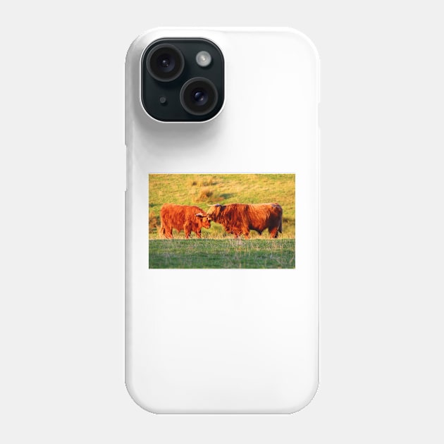 Highland Fling Phone Case by Jane Braat