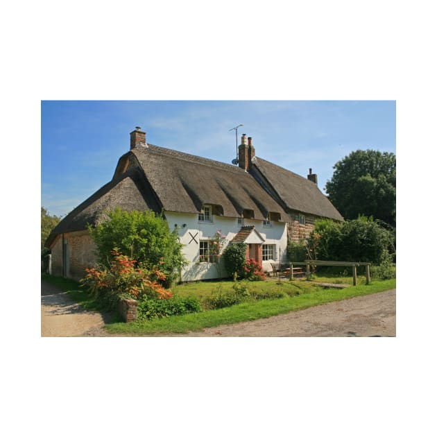 Dorset Thatch, East Lulworth by RedHillDigital