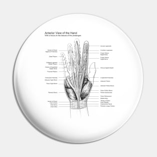 Black and White Hand Dissection Illustration Pin