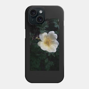 Flower Blossom Photograph Phone Case