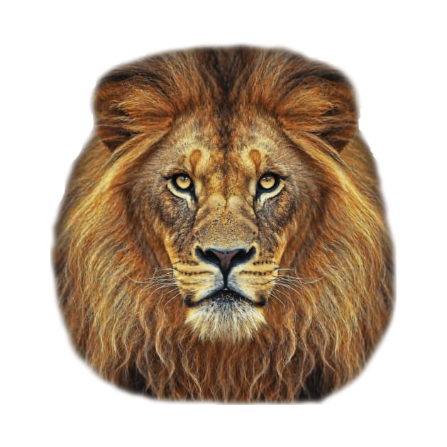 Lion Head With Cool Eyes African lion stylish by marcguada82.monster