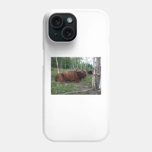 Scottish Highland Cattle Bull 1460 Phone Case