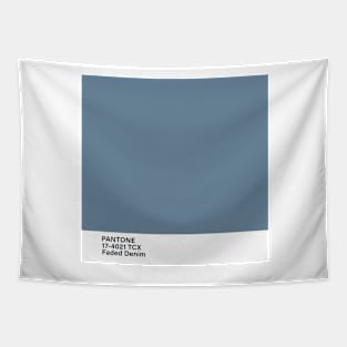 pantone 17-4021 TCX Faded Denim Tapestry