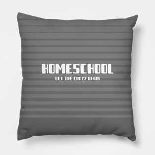 Homeschool Crazy Pillow