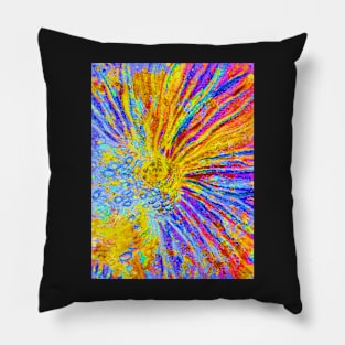 Sunflowers Pillow