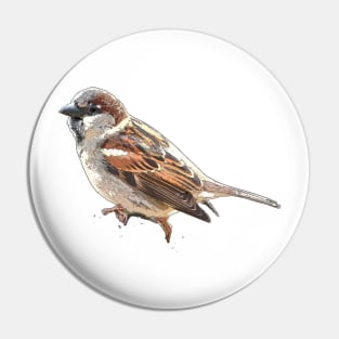 House Sparrow Pin