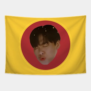 Meme Moonbin Tapestry