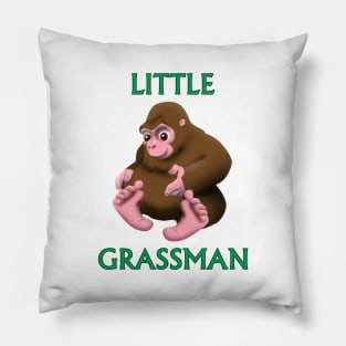 Ohio Grassman Pillow