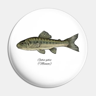 Minnow Pin