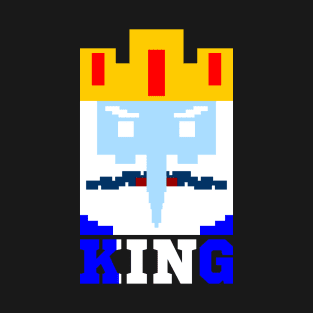 Ice King Adventure time T-Shirt