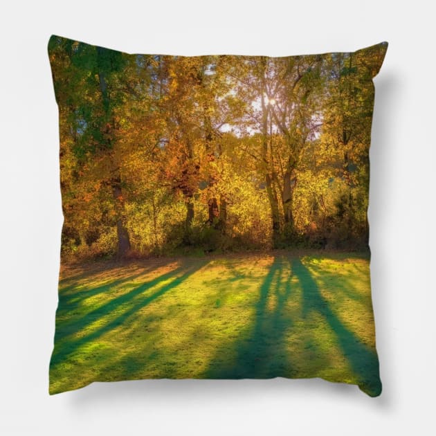 Mystical Fall Trees Pillow by PandLCreations