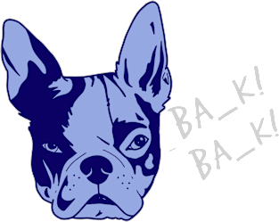 Boston Terrier Accent Magnet