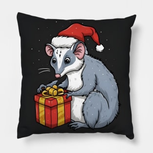 oppossum with a gift Pillow