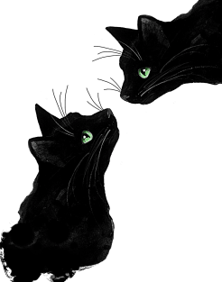 Black Cats Magnet