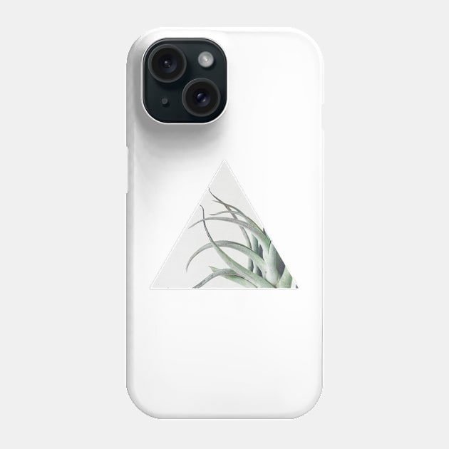 Air Plant II Phone Case by Cassia