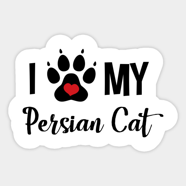 I Love My Cat Cat Persian Cats Sticker Teepublic