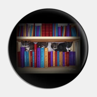 Kitten Bookshelf Pin