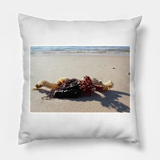 Beach Still Life Pillow