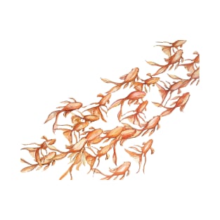 Goldfish from above T-Shirt