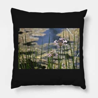 Wild Garlic Pillow