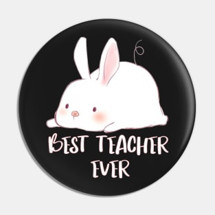 Some Bunny Loves Teaching Pin