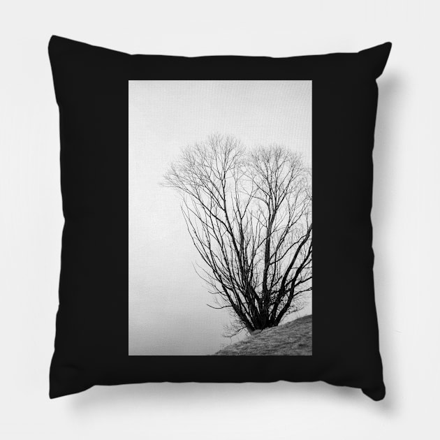 Lone Tree Pillow by DeborahMcGrath