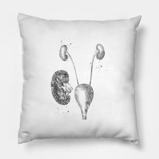 Urinary system Pillow
