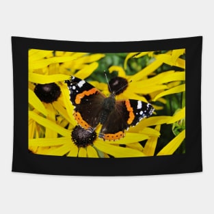 Vanessa Atalanta on Rudbeckia Tapestry