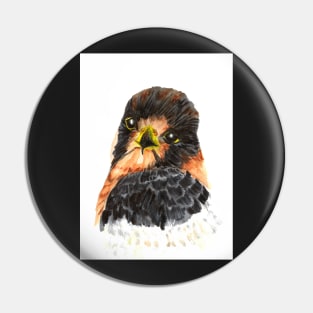 Glamour Falcon Pin