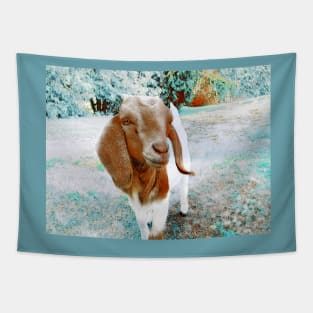 Goat-Boer-1Brm Tapestry