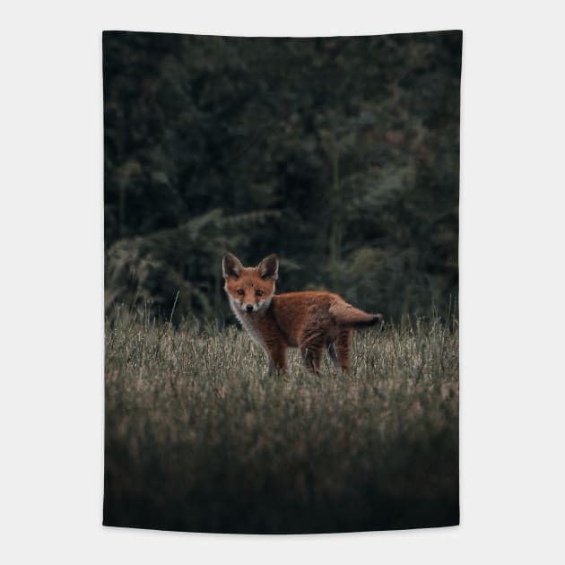 Red fox Tapestry by withluke