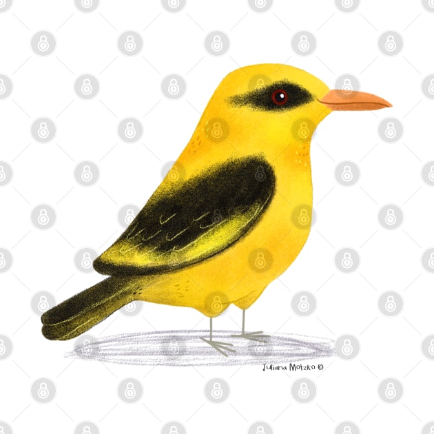 Golden Oriole Bird by julianamotzko