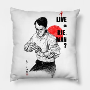 Daniel San Pillow