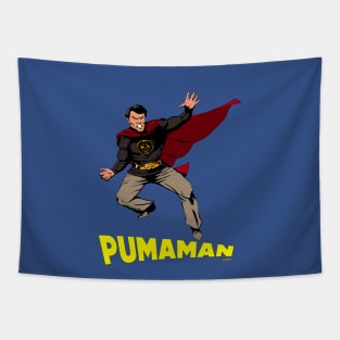 The Pumaman Tapestry