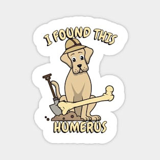 I found this humerus - big dog Magnet