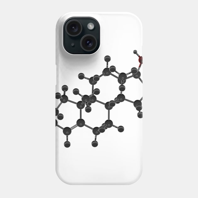 Testosterone Molecule Phone Case by ChemECool