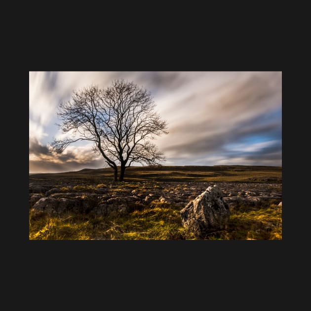 Lone Tree On Lime by Reg-K-Atkinson