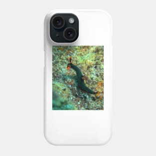 Nembrotha kubaryana nudibranch Phone Case