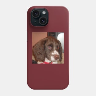 english springer spaniel liver white puppy Phone Case