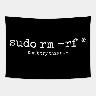 Don't try this at home Linux super user command sudo rm -rf * Tapestry
