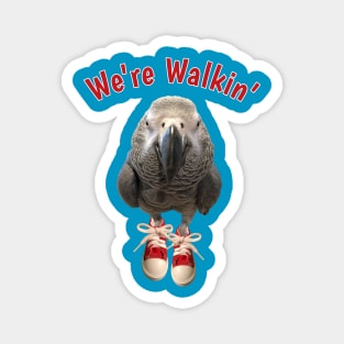 African Grey Parrot Walking Exercise Tennis Shoe Magnet