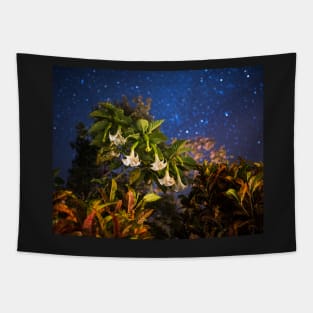 Belmopan Belize Rainforest Flowers Stars Tapestry