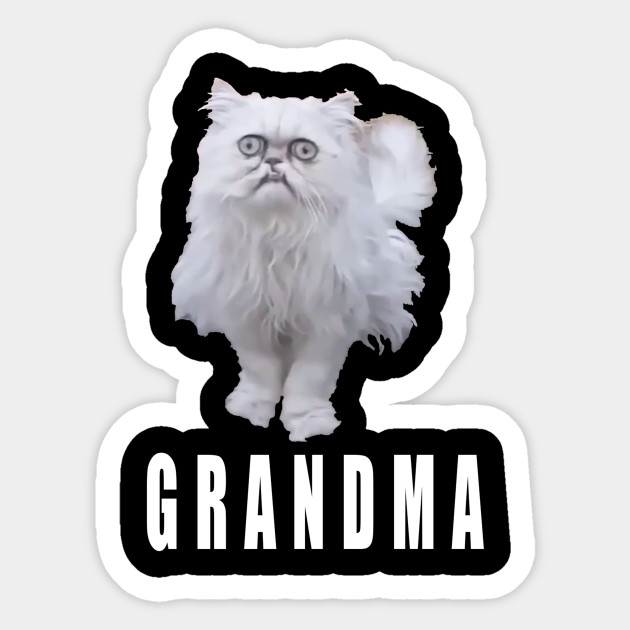 This Stray Cat Looks Like Grandma Meme Cat Sticker Teepublic