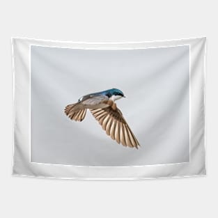 Tree Swallow Flight Tapestry