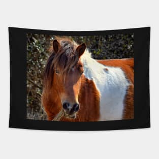 Assateague Pony Ms Macky Portrait Tapestry