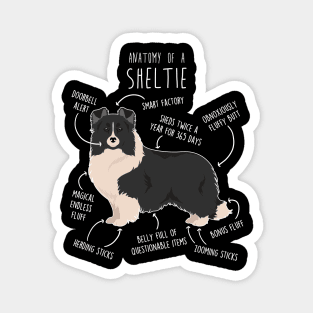 Bi Black Sheltie Shetland Sheepdog Anatomy Magnet