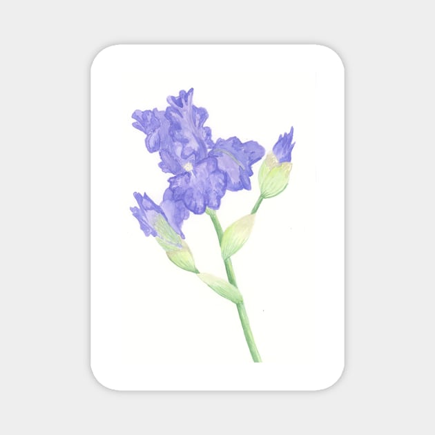 Blue Iris Stem Magnet by wynbre