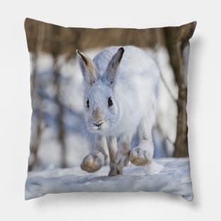 Snow Shoe Hare Pillow