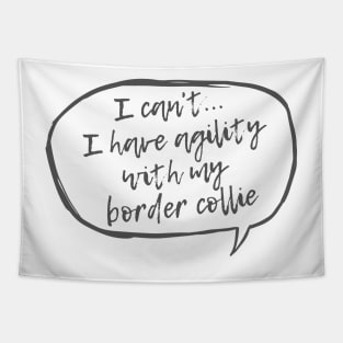 I can't... I have agility with Border Collie Tapestry